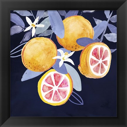 Framed Fresh Fruit III Print