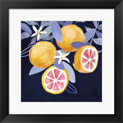 Framed Fresh Fruit III Print