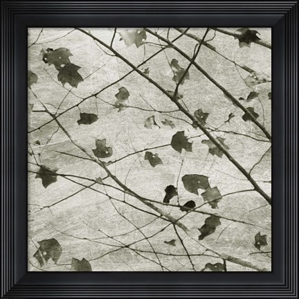 Framed Laced Sky II Print