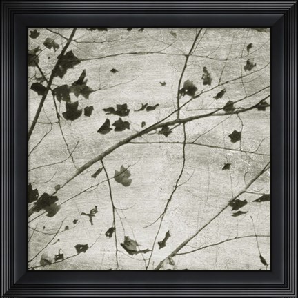Framed Laced Sky III Print