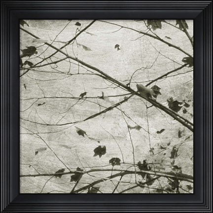 Framed Laced Sky IV Print