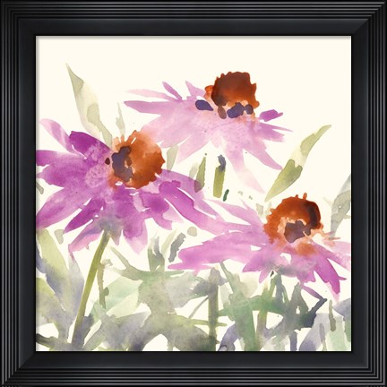 Framed Daisy Garden Views II Print