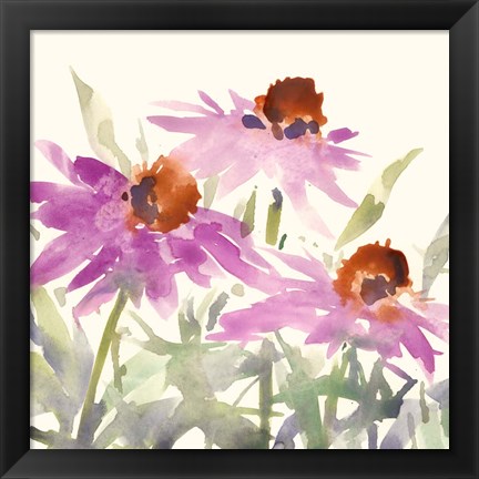 Framed Daisy Garden Views II Print