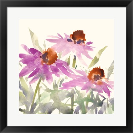 Framed Daisy Garden Views II Print