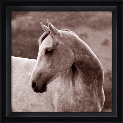 Framed Tempest Print