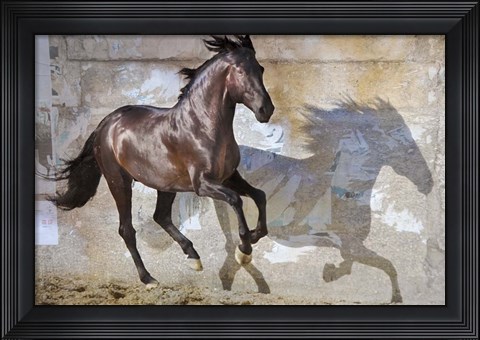 Framed Shadow Print