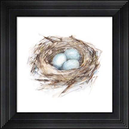 Framed Bird Life I Print