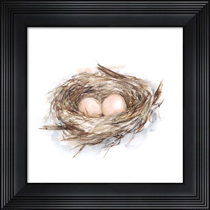 Framed Bird Life II Print