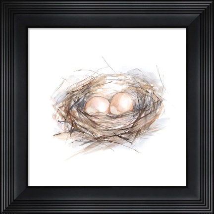 Framed Bird Life IV Print