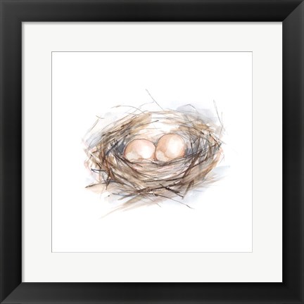 Framed Bird Life IV Print