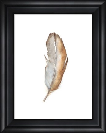 Framed Bird Life VI Print