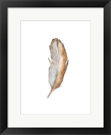 Framed Bird Life VI Print