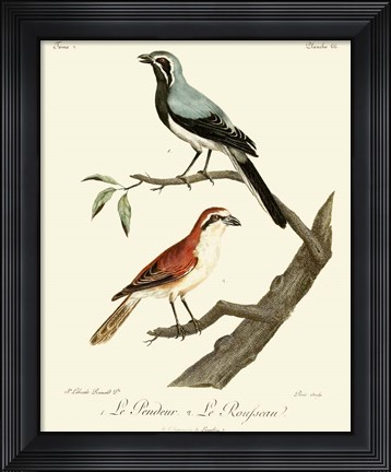 Framed Vintage French Birds II Print