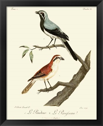 Framed Vintage French Birds II Print
