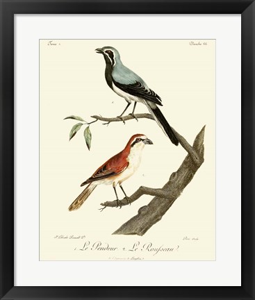 Framed Vintage French Birds II Print