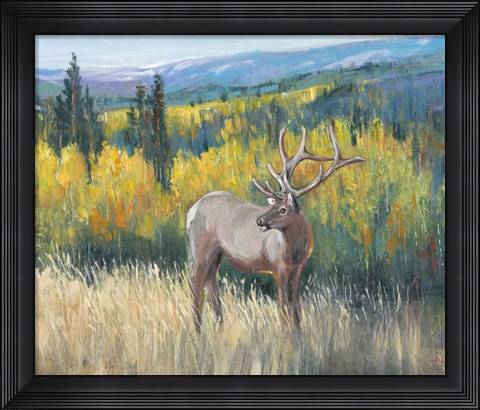 Framed View From the Top I Print