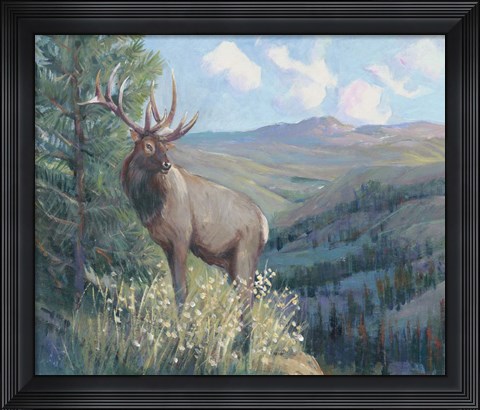 Framed View From the Top II Print
