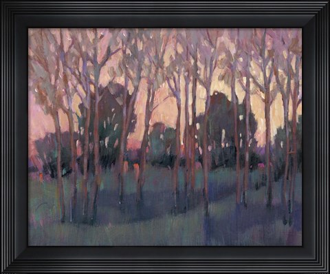 Framed Morning Light I Print