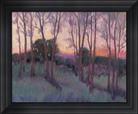 Framed Morning Light II Print