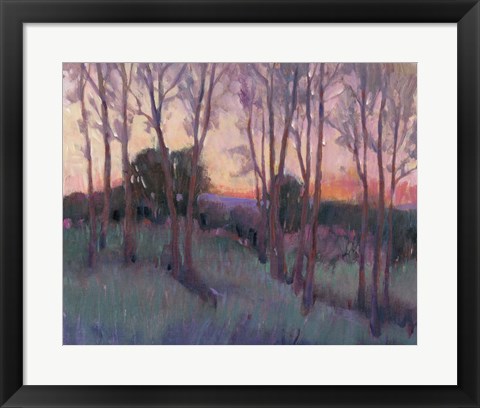 Framed Morning Light II Print