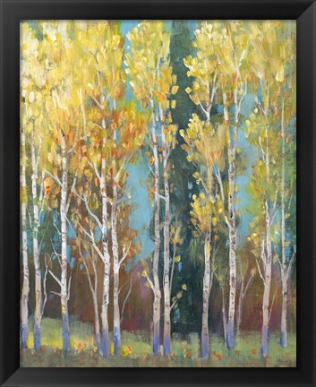 Framed Aspen Grove I Print