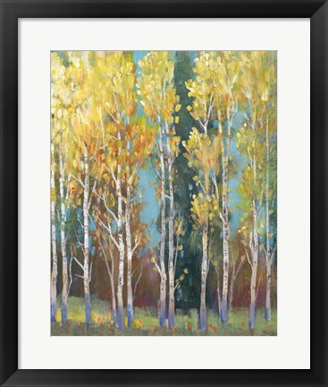 Framed Aspen Grove I Print