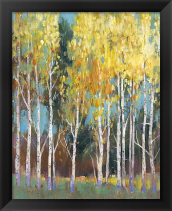 Framed Aspen Grove II Print
