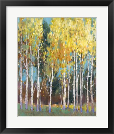 Framed Aspen Grove II Print