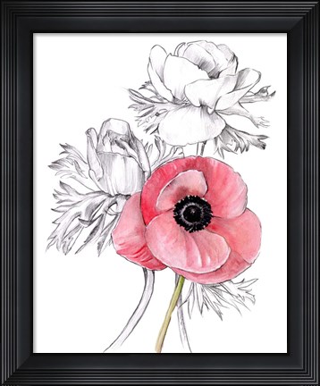 Framed Anemone by Number I Print