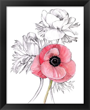 Framed Anemone by Number I Print