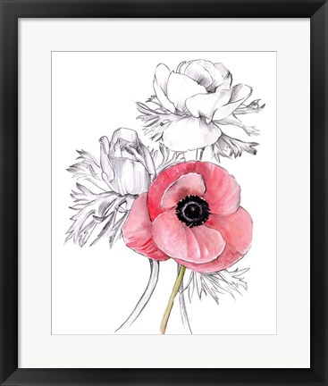 Framed Anemone by Number I Print