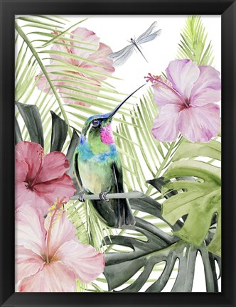 Framed Hibiscus &amp; Hummingbird II Print