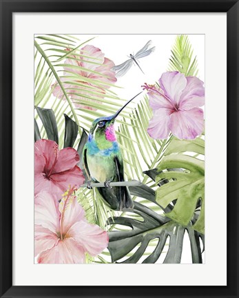 Framed Hibiscus &amp; Hummingbird II Print