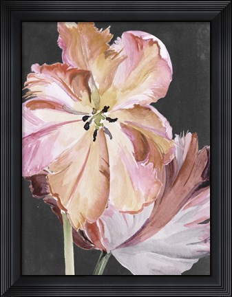 Framed Pastel Parrot Tulips II Print