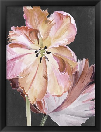 Framed Pastel Parrot Tulips II Print