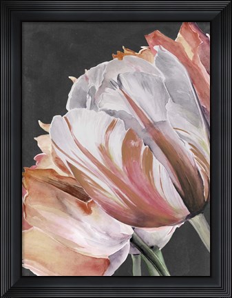 Framed Pastel Parrot Tulips III Print