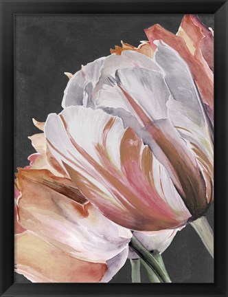 Framed Pastel Parrot Tulips III Print