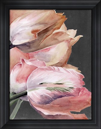 Framed Pastel Parrot Tulips IV Print