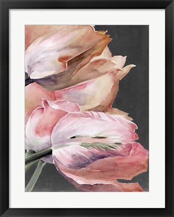 Framed Pastel Parrot Tulips IV Print