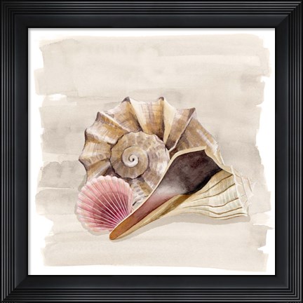 Framed Ocean Keepsake II Print