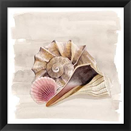 Framed Ocean Keepsake II Print