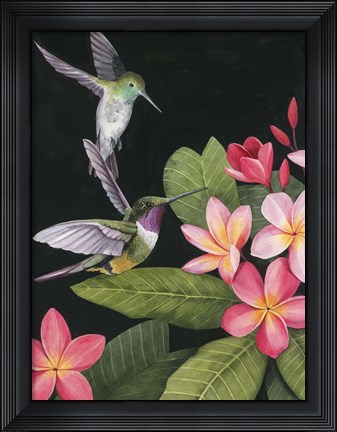 Framed In the Plumeria I Print