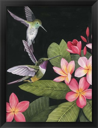 Framed In the Plumeria I Print