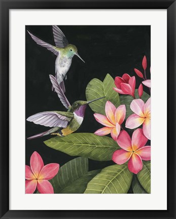 Framed In the Plumeria I Print