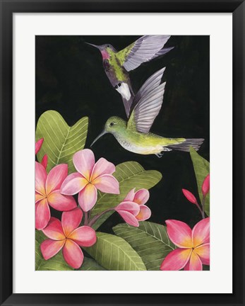 Framed In the Plumeria II Print