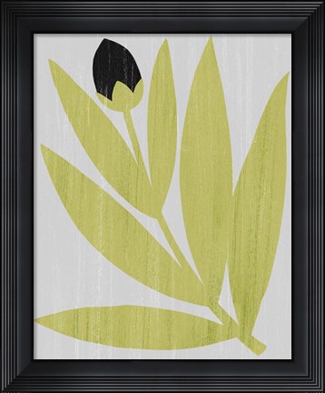 Framed Flower Cutting I Print