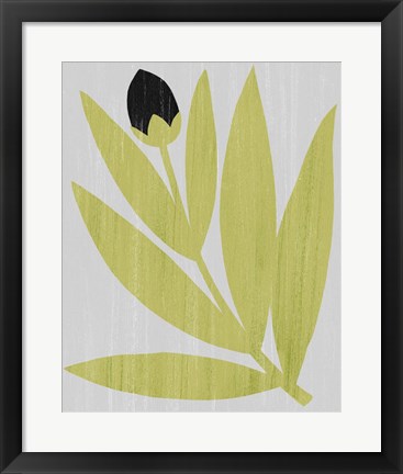 Framed Flower Cutting I Print