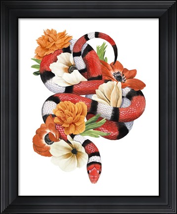 Framed King Snake I Print