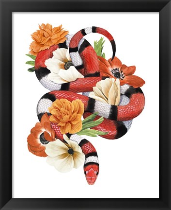 Framed King Snake I Print