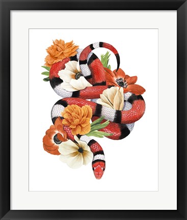 Framed King Snake I Print